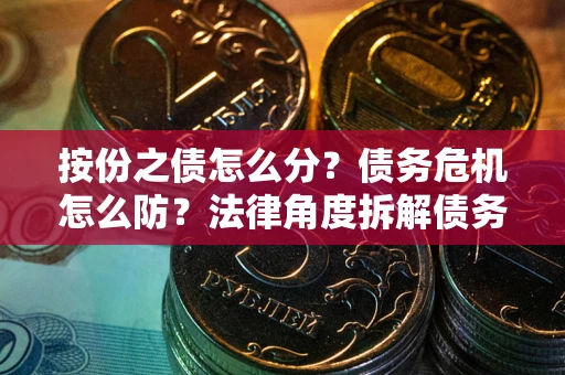 武汉按份之债怎么分？债务危机怎么防？法律角度拆解债务分配与风险自保指南