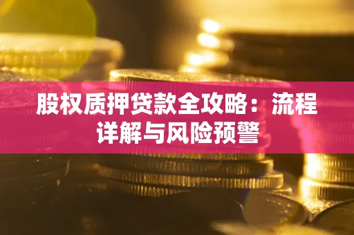 武汉股权质押贷款全攻略：流程详解与风险预警