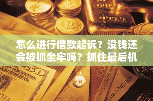 武汉怎么进行借款起诉？没钱还会被抓坐牢吗？抓住最后机会！