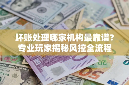 武汉坏账处理哪家机构最靠谱？专业玩家揭秘风控全流程