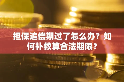 武汉担保追偿期过了怎么办？如何补救算合法期限？