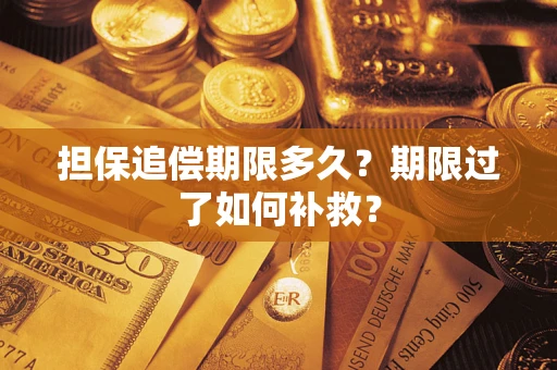 武汉担保追偿期限多久？期限过了如何补救？