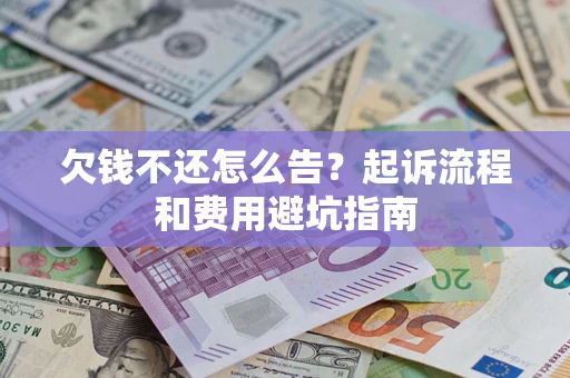 武汉欠钱不还怎么告？起诉流程和费用避坑指南
