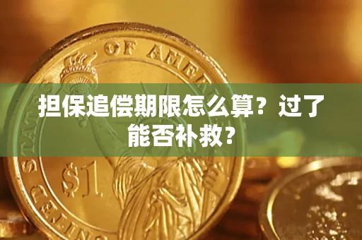 武汉担保追偿期限怎么算？过了能否补救？